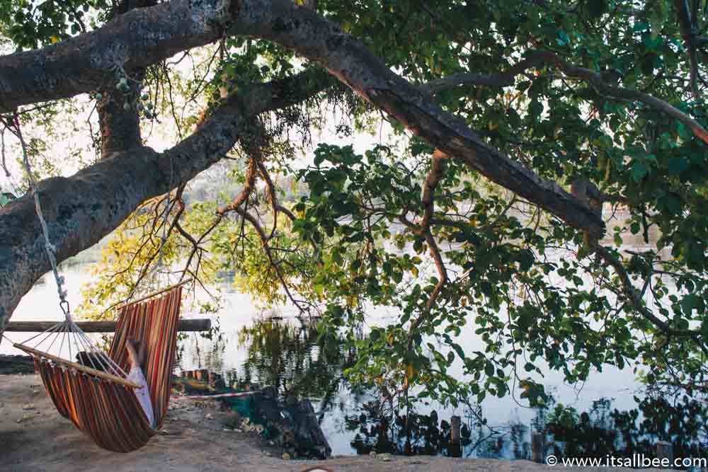 Things to do in Maun Botswana #safari #Africa #maun #wildlife #okavangodelta #mokoro #chombe #bigfive #adventure #african #food #traveltips Things to do in Maun Botswana