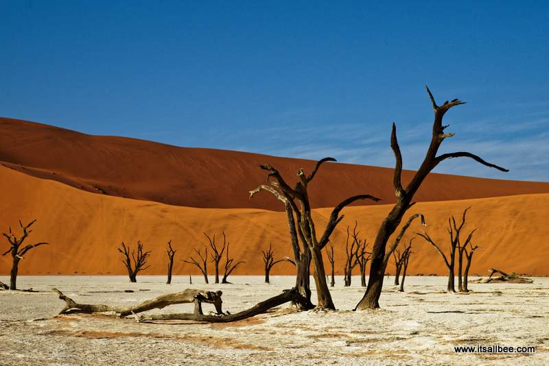 15 Days Namibia Botswana and Vic Falls Itinerary - Sharing our adventure please tips on how to plan your own African adventure. Everything from driving in Africa, safari tours, where to stay, Victoria Falls adventures, Botswana safari, Namibian dunes and More! #sossusvlei #dun45 #dune7 #chobe #vicfalls #livingstone #zambia #mosioatunya #nationalpark #safari #africa #traveltips #adventureawaits #etosha 15 Days Namibia Botswana and Vic Falls Itinerary - Sharing our adventure please tips on how to plan your own African adventure. Everything from driving in Africa, safari tours, where to stay, Victoria Falls adventures, Botswana safari, Namibian dunes and More! #sossusvlei #dun45 #dune7 #chobe #vicfalls #livingstone #zambia #mosioatunya #nationalpark #safari #africa #traveltips #adventureawaits #etosha