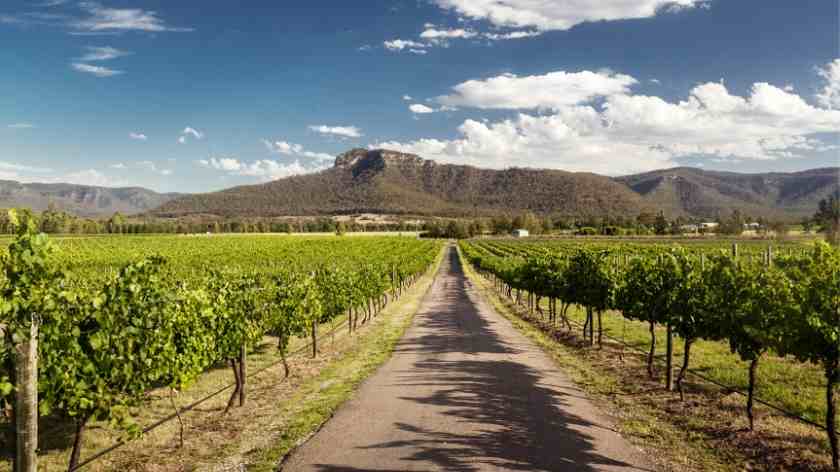 Guide to the best weekend getaways from Sydney all within a short drive. Quick and relaxing escapes from romantic escapes as well as quick family breaks. #itsallbee #traveltips #aussie #downunder #breaks #weekendtrips #adventure #spa #relaxing | cheap weekend getaways sydney | weekend breaks from sydney | long weekend getaways from sydney | weekend escapes from sydney | romantic weekend getaways sydney | short trips from sydney gtaways near sydney | best weekend getaways from sydney